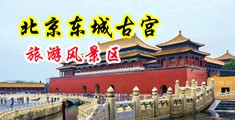 骚鸡巴和骚逼性交录像中国北京-东城古宫旅游风景区